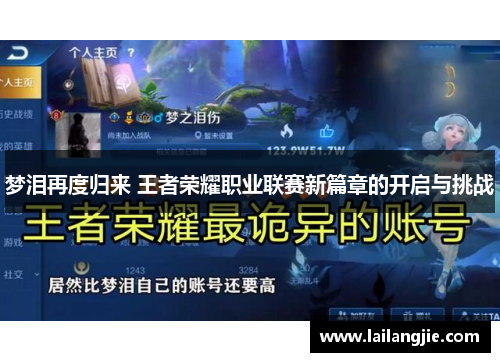 梦泪再度归来 王者荣耀职业联赛新篇章的开启与挑战