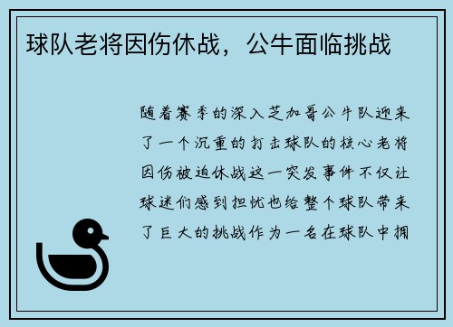 球队老将因伤休战，公牛面临挑战